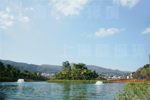 自然底人工湖泊技术方案 自然底人工湖泊技术方案