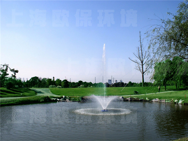 自然底人工湖泊技术方案 自然底人工湖泊技术方案