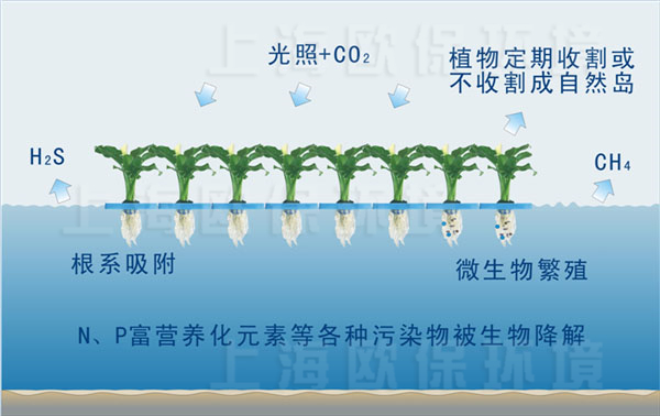 园艺型生态浮岛净水原理