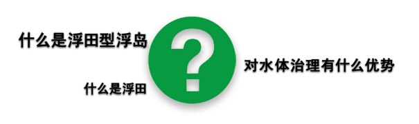 什么浮田型浮岛？什么是浮体，对水体治理有什么优势