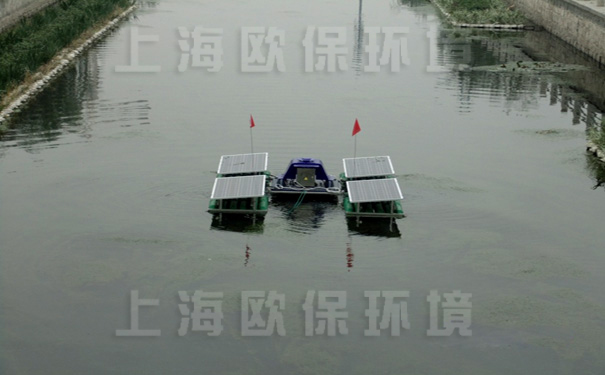 治理后的马草河滨水绿带成为环境宜人的亲水平台