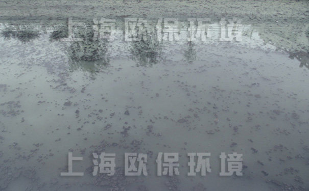 治理前的马草河黑苔爆发，富营养化严重，水质为劣V类水