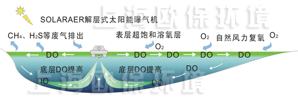 解层式太阳能曝气机运行后