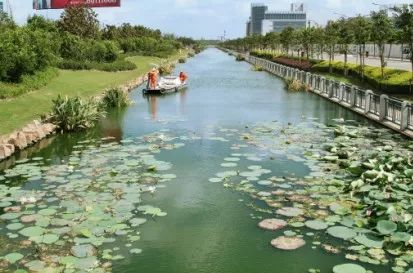 新时代新作为新气象后浜的蜕变:从臭水沟到*美小河,欧保生态浮岛 新时代新作为新气象后浜的蜕变:从臭水沟到*美小河,欧保生态浮岛