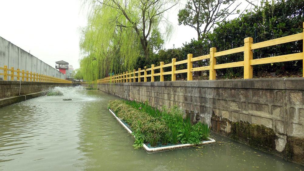 汤汪乡青年河整治初见成效，欧保喷泉曝气机与浮岛组合