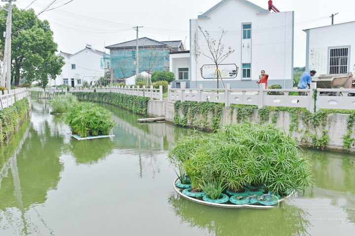 集中治理河道周边环境,欧保环境人工浮岛 集中治理河道周边环境,欧保环境人工浮岛