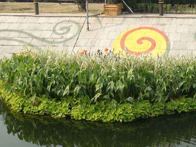 全要素河道治理 浮田型漂浮湿地打造碧水新港湾