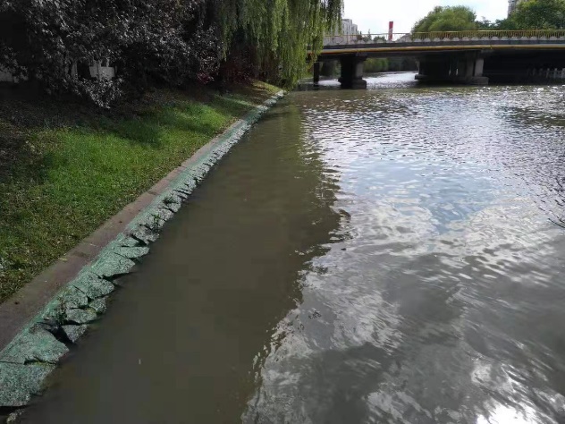 持续高温让蓝藻易发 闵行水务人严阵以待 持续高温让蓝藻易发 闵行水务人严阵以待