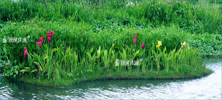 浮田型浮动湿地用于水上绿化，净水+绿化双重功能