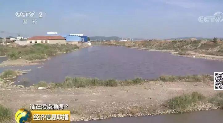 31 入海河流黑臭变红水质多项指数超标