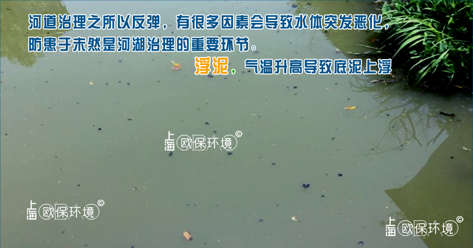 湖泊浅水区域底泥危害：湖泊边缘由于与主湖区水体交换程度低，周边污染不断排入，净水措施的缺乏，导致底泥增厚，水体缺氧度高，水温升高产生厌氧，底泥上浮，初期少量浮泥，后期将出现大量浮泥，甚至完全覆盖水面，加剧水体缺氧水质恶化。