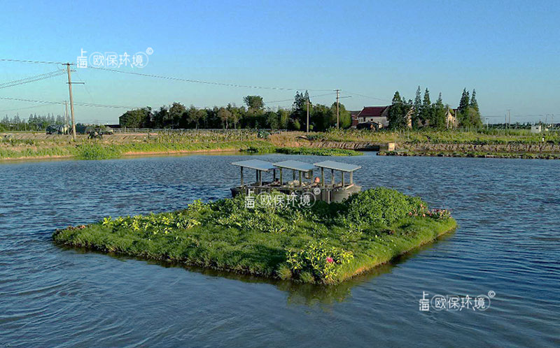 浮田型净水平台（太阳能曝气生物浮岛）案例参考二