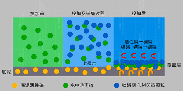 除磷剂的主要成分，Phoslock&reg;除磷剂