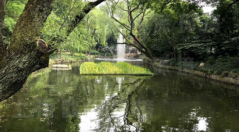 浮田型漂浮湿地（浮动湿地）应用于河道——全覆盖减少人工痕迹，更生态自然