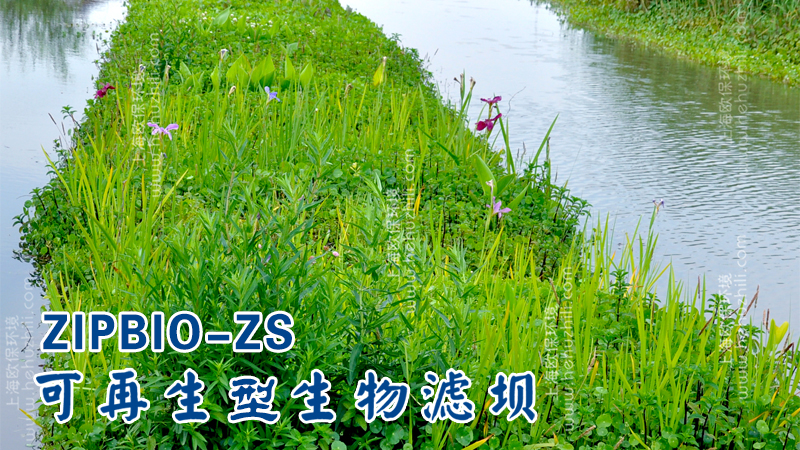 再生滤坝引入了植物根系和微生物群落，形成一个完整的生态系统