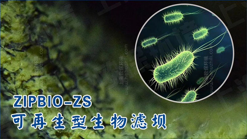 再生滤坝的核心在于将生物净化功能与装配式结构有机结合。 再生滤坝的核心在于将生物净化功能与装配式结构有机结合。