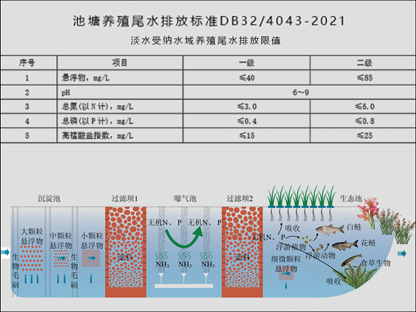 三池两坝，养殖尾水处理，改进型三池两坝