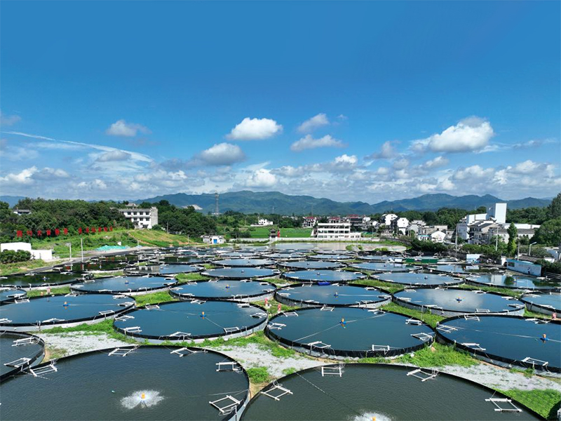 将“源头控制”与“末端治理”完美结合的养殖尾水综合治理方案:以可再生滤坝为基础的三池两坝工艺 将“源头控制”与“末端治理”完美结合的养殖尾水综合治理方案:以可再生滤坝为基础的三池两坝工艺