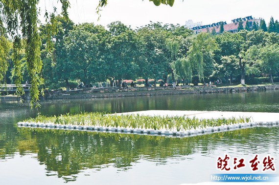 马鞍山:欧保生态浮岛落户北湖公园 具有净化水质等功能 马鞍山:欧保生态浮岛落户北湖公园 具有净化水质等功能